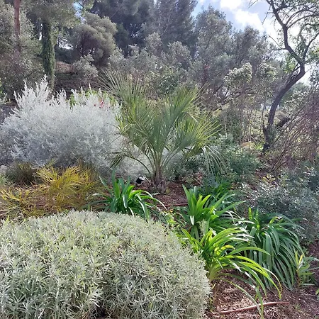 فيلة La Belle De