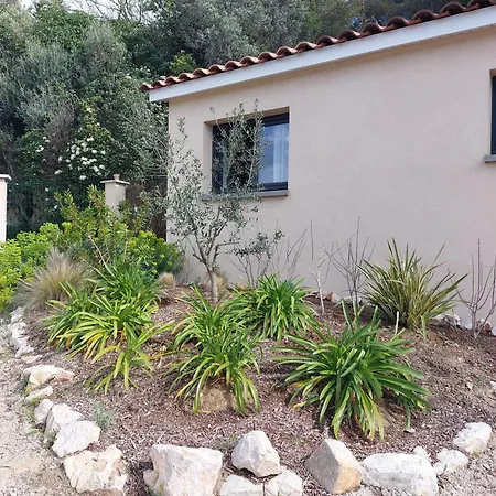 La Belle De * كاسيس