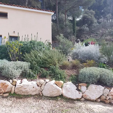 La Belle De